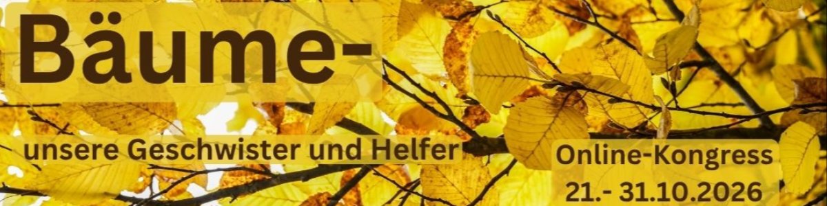 Newsletter-Banner 4:1