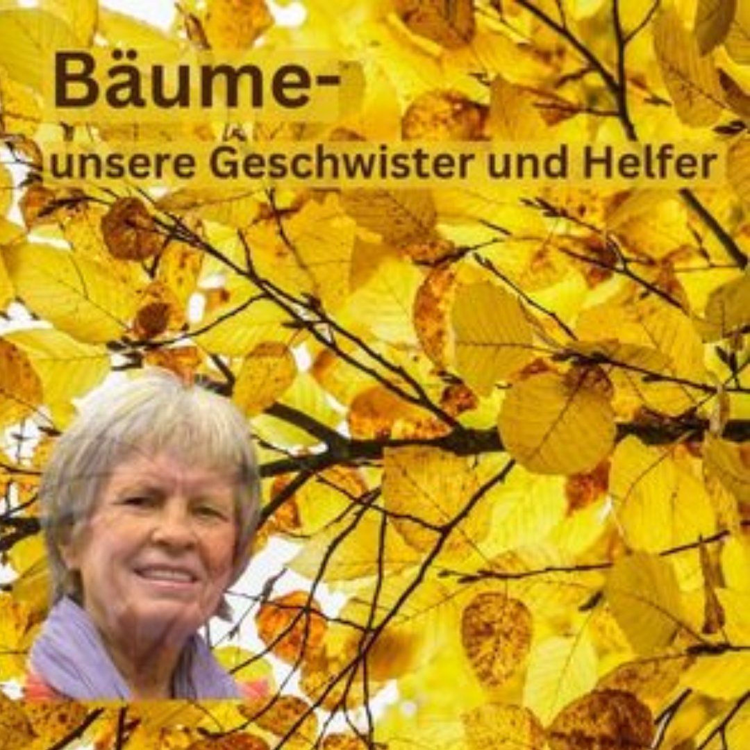 Allgemeines Werbebild 1:1