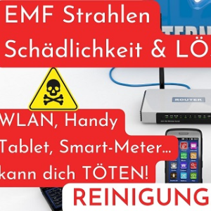 2025 Befreiung von EMF-Elektrosmog, Strahlen, Fremdenergie, Streit