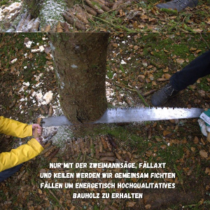 Mondholz Workshop auf der Schwäbischen Alb vom 05.11. - 08.11.2026