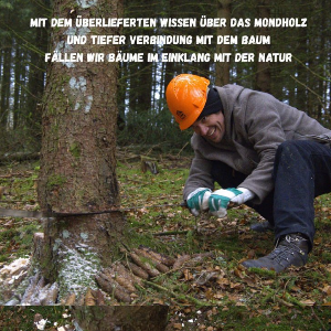 Mondholz Workshop auf der Schwäbischen Alb vom 05.11. - 08.11.2026