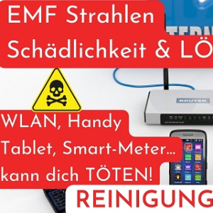 Bonus GOLD Paket: 77% Rabatt auf das Reinigungs-Befreiungs-Video:  „2025 Befreiung EMF-Elektrosmog, Strahlen, Fremdenergie, Streit“ für DICH, Familie, Firma, Bauernhof...