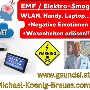 Bonus GOLD Paket: 77% Rabatt auf das Reinigungs-Befreiungs-Video:  „2025 Befreiung EMF-Elektrosmog, Strahlen, Fremdenergie, Streit“ für DICH, Familie, Firma, Bauernhof...